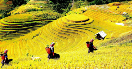 Sapa Train ticket will take you to fanciful mountain in fog