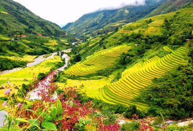 5 The village that visitors enthralled when traveling Sapa