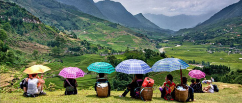 Many travelers come back Sapa to enjoy the peace and wonderful lanscape here